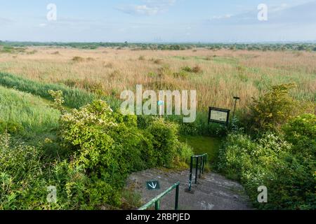 Au point de vue de Groene Strand ressort avec escaliers en premier plan Banque D'Images