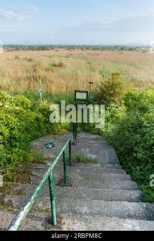 Au point de vue de Groene Strand ressort avec escaliers en premier plan Banque D'Images