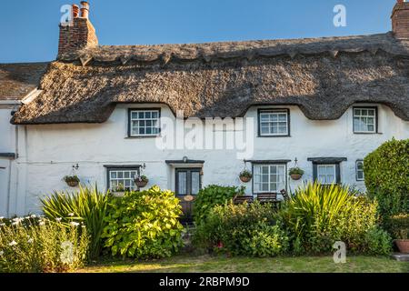 Vieux cottage de chaume à Coverack, Lizard Peninsula, Cornouailles, Angleterre Banque D'Images