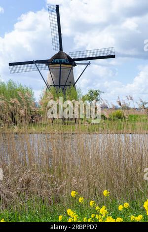 Les canaux, moulins et stations de pompage de Kinderdike remontent à plus de 700 ans. Banque D'Images