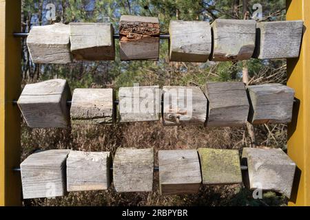 Affichage en bois avec des blocs de bois dans la forêt Banque D'Images