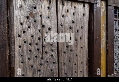 Blocs de bois avec des trous dans un hôtel à insectes Banque D'Images