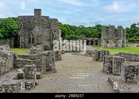 Les ruines de l'ancienne abbaye cistercienne de Mallifont Tullyallen Village, comté de Louth, Drogheda, Irlande. Banque D'Images