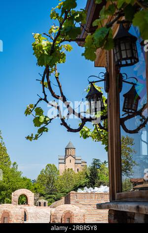 Vue sur la cathédrale Metekhi depuis la zone des bains de soufre avec leurs dômes et vigne Banque D'Images