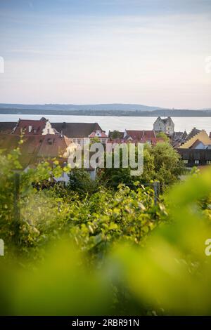 Vue depuis le Fürstenhäusel sur le nouveau château de Meersburg et le vieux château, Bodenseekreis, lac de Constance, Baden-Wuerttemberg, Allemagne, Europe Banque D'Images