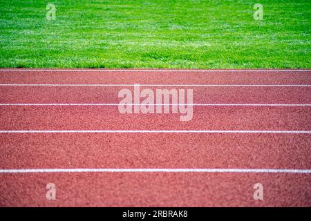 Piste athlétique pour courses de course sur piste et sur terrain. Gros plan des lignes de voie horizontales avec texture de surface de piste et fond d'herbe verte Banque D'Images