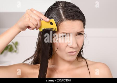 Femme peignant les poux dans ses cheveux avec un peigne à poux grimacant comme elle tire les dents fines à travers ses longues tresses brunes pour contrôler la contagieuse Banque D'Images