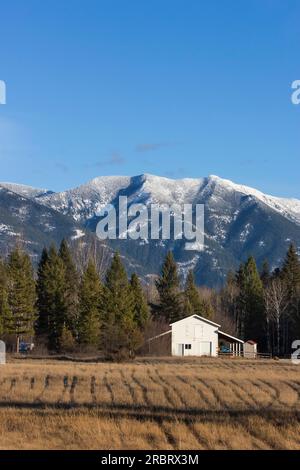 Image panoramique du Grand État du Montana Banque D'Images