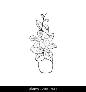 Plante de maison dans un pot. Illustration vectorielle isolée de style d'esquisse. Plante tirée à la main Illustration de Vecteur