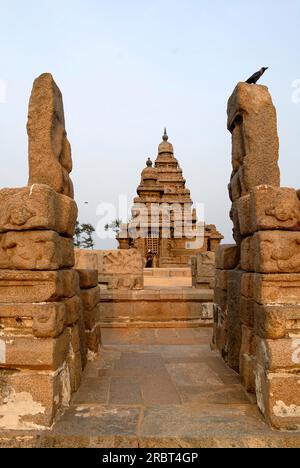 Temple de rivage dédié aux dieux Vishnu et Shiva construit vers 700, 728 à Mahabalipuram, l'un des plus anciens temple en se tenant sur le bord de la mer dedans Banque D'Images