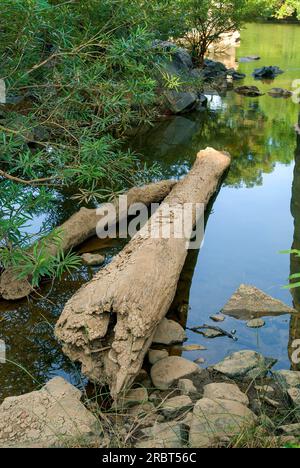 Baralikkadu ECO site touristique est situé au barrage de Karamadai Pilloor, chaîne Athikkadavu des Ghats occidentaux à Mulli près de Coimbatore, Tamil Nadu, Sud Banque D'Images