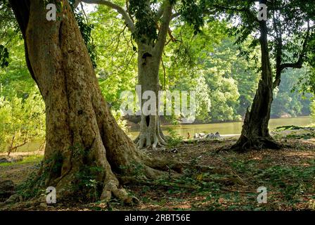 Baralikkadu ECO site touristique est situé au barrage de Karamadai Pilloor, chaîne Athikkadavu des Ghats occidentaux à Mulli près de Coimbatore, Tamil Nadu, Sud Banque D'Images