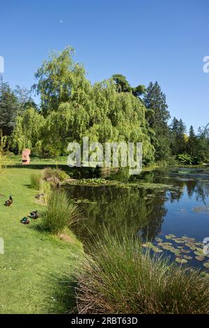 Jardin botanique VanDusen à Vancouver, BC, Canada Banque D'Images