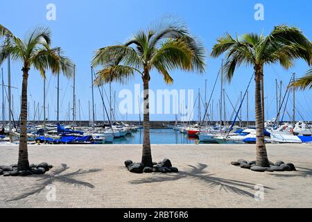 Lanzarote Îles Canaries Puerto Calero palmiers et passerelle à l'intérieur de la marina avec beaucoup de petits bateaux et de grands yachts contre un ciel bleu profond Banque D'Images