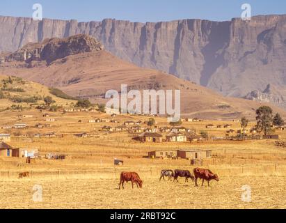 Un paysage rural tranquille près du parc national du Royal Natal dans le KwaZulu-Natal en Afrique du Sud. Banque D'Images