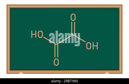 Structure chimique de l'acide oxalique (H2C2O4). Ressources chimiques pour les enseignants et les étudiants. Ressources de chimie pour les enseignants et les étudiants. Illustration de Vecteur