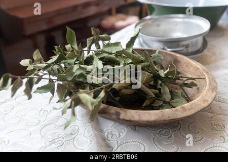 Branches séchées de Laurier dans un bol en bois sur la table, utilisées pour aromatiser la pièce Banque D'Images