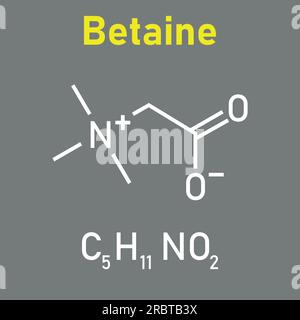 Structure chimique de la bétaïne (C5H11NO2). Ressources chimiques pour les enseignants et les étudiants. Illustration vectorielle. Illustration de Vecteur