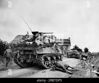 France, 6 août 1944 des chars américains en train d'avancer sur leur chemin vers Avranches. Des chevaux morts et du matériel allemand détruit se trouvent au bord de la route. Banque D'Images