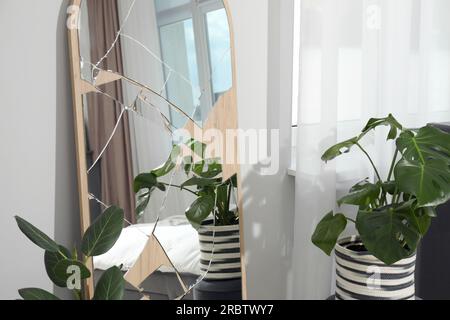 Miroir cassé avec de nombreuses fissures et plantes d'intérieur dans la chambre Banque D'Images