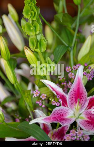 Stargazer Lily bouquet dans le cadre d'une pièce centrale Banque D'Images