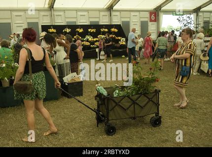 Vue d'ambiance générale des visiteurs du RHS Hampton court Flower Show à Londres Banque D'Images