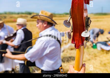 Gros plan sur une partie de contrebasse, tête de gondole avec touches de réglage. Musicien Contrabassist joue de la contrebasse pour le bonheur et le succès avant que les agriculteurs ne mendient Banque D'Images