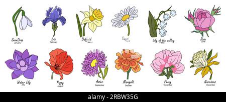Mois de naissance fleurs botaniques ensemble de vecteurs colorés. Illustration de Vecteur