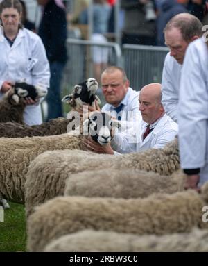 Agriculteurs montrant leurs moutons au Royal Highland Show, Édimbourg, 2023. Banque D'Images