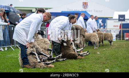 Agriculteurs montrant leurs moutons au Royal Highland Show, Édimbourg, 2023. Banque D'Images