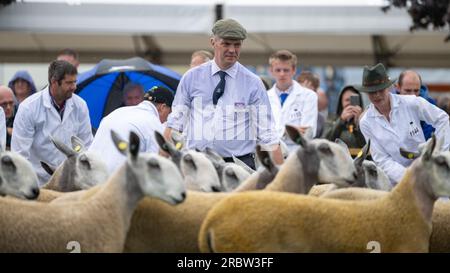 Agriculteurs montrant leurs moutons au Royal Highland Show, Édimbourg, 2023. Banque D'Images