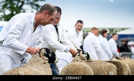 Agriculteurs montrant leurs moutons au Royal Highland Show, Édimbourg, 2023. Banque D'Images