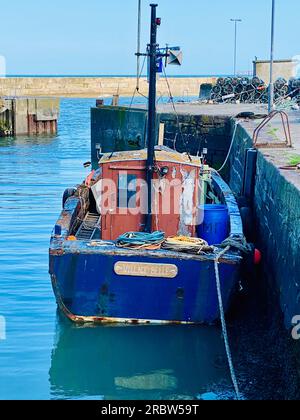 Gourdon Harbour, dans l'Aberdeenshire, Ecosse Banque D'Images