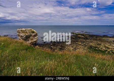 Jack Rock, une pile de mer, près du phare Souther à Sunderland, vue depuis le sommet de la falaise voisine. Banque D'Images