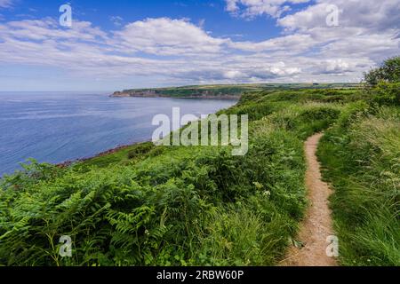 Le sentier de longue distance Cleveland Way. Vue depuis le chemin entre Port Mulgrave et Runswick Bay (non visible) le promontoire au loin est Kett Banque D'Images