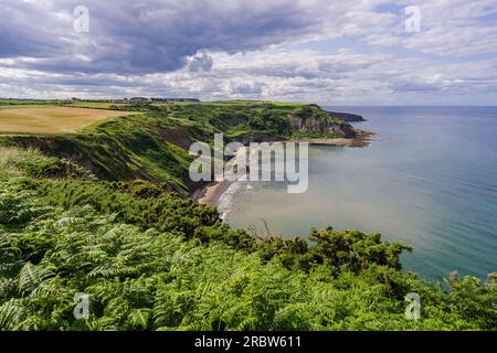 Vue en haut de la falaise de Port Mulgrave. Cette photo a été prise depuis le chemin entre Port Mulgrave et Runswick Bay sur le Cleveland Way dans le North Yorkshire. Banque D'Images