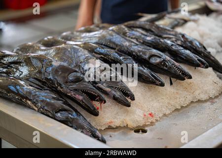 poisson sabre sur le marché Banque D'Images