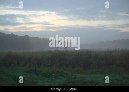 Paysage brumeux au crépuscule près de Greifswald, Mecklenburg-Vorpommern, Allemagne. Banque D'Images