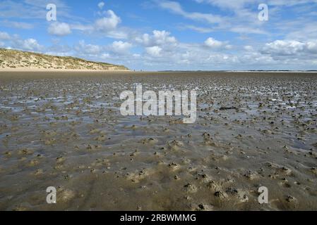 Naturschutzgebiet Amrum-Odde, la pointe nord d'Amrum, Allemagne Banque D'Images