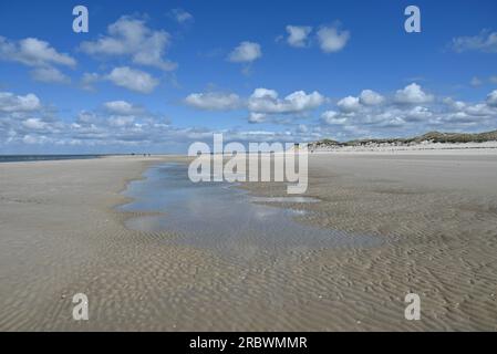 Naturschutzgebiet Amrum-Odde, la pointe nord d'Amrum, Allemagne Banque D'Images