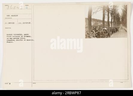 Le sergent McAuley, un photographe, a pris la photo le 19 novembre 1918. La photographie représente un groupe de prisonniers français, qui ont été parmi les premiers prisonniers libérés par l'Allemagne, traversant les lignes à Longuyon, Meurthe et Moselle, France. Cette photo porte le numéro d'identification 111-SC-36543 et a été reçue le 5 février 1919. Les notes supplémentaires pour cette image incluent le numéro de référence 500236543. Banque D'Images