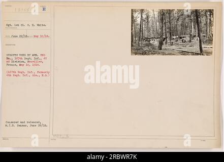 Sergent 1st Cl. C. H. White sur la photo est vu debout devant des pigeonniers utilisés par les hommes du 2e Bataillon, 167e Régiment, infanterie, 42e Division à Nouviller, France le 10 mai 1918. Le 167e régiment était autrefois connu sous le nom de 4e régiment d'infanterie de la Garde nationale. La photo a été censurée et publiée par M.I.B. Censurer le 28 juin 1918. Banque D'Images