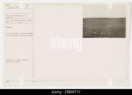 Soldat dans la Garde nationale de Caroline du Sud, la Fraternité privée, observant le paysage depuis Bois de Sasse, Dun sur Meuse, France pendant la première Guerre mondiale. La photographie reçue le 13 novembre 1918 a été approuvée par le censeur de l'A.E.F. Identifiée comme l'image numéro 35430, prise par un photographe inconnu le 23 janvier 1919. Banque D'Images