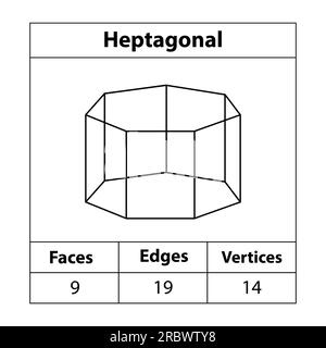 Heptagonal, faces, arêtes, sommets. formes, sommets. illustration de l'enseignement des mathématiques. Icône de vecteur de symbole de forme heptagonale. Illustration de Vecteur
