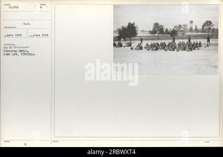 Soldats de la 80e division participant à des exercices physiques à Camp Lee, Virginie en juin 1918. Banque D'Images