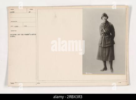 Une photographie prise en 1919 montre des femmes en uniforme du Women's Motor corps. L'image les montre fièrement vêtus de leur uniforme et affichant un symbole émis. Cette photographie fait partie de la collection 11230. Banque D'Images