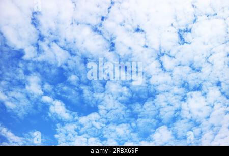 Nuages d'Altocumulus blanc pur dispersés sur le ciel bleu vibrant Banque D'Images