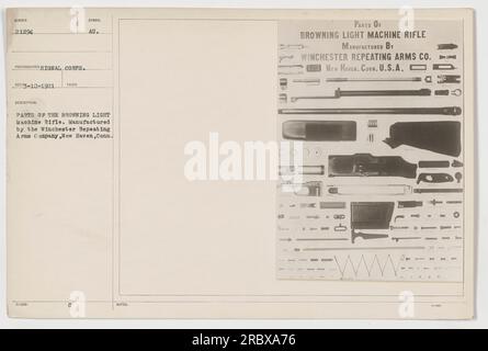 Un soldat examine différentes parties du fusil Browning Light machine, qui a été fabriqué par la Winchester Repeating Arms Company à New Haven, Connecticut. Le fusil était une arme importante pendant la première Guerre mondiale Cette photographie, numérotée 21294, a été prise par un photographe du signal corps. Banque D'Images
