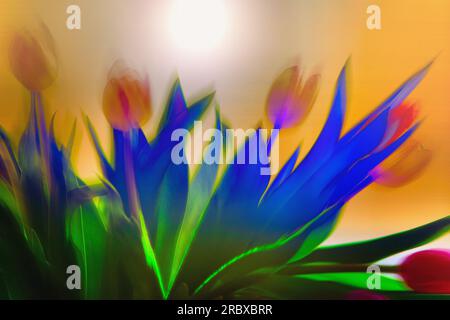 ART NUMÉRIQUE CONTEMPORAIN : tulipes d'Amsterdam Banque D'Images