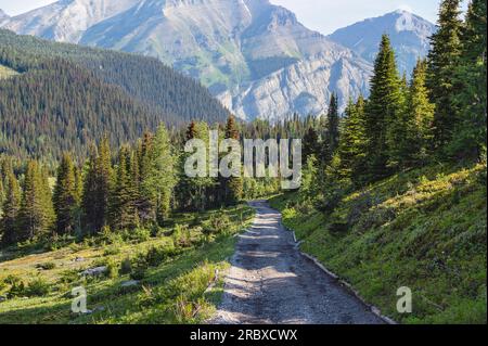 Sentier de terre à Sunshine Meadows, à la limite des parcs Banff et Assiniboine Banque D'Images
